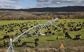 Image result for pictures irrigators new zealand