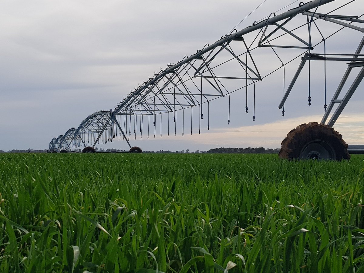 Image result for photos irrigators