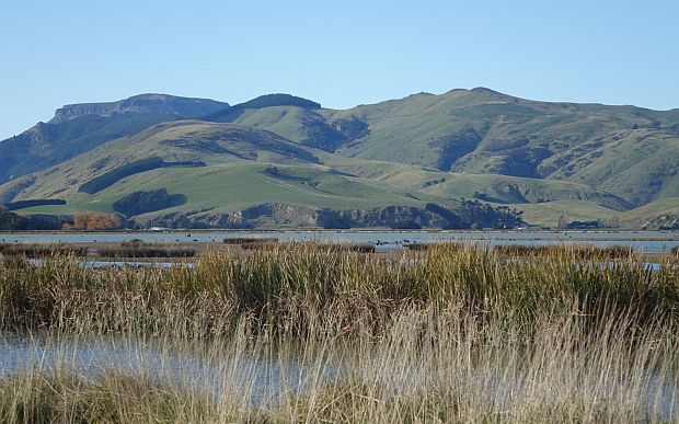 A view of Lake Ellesmere