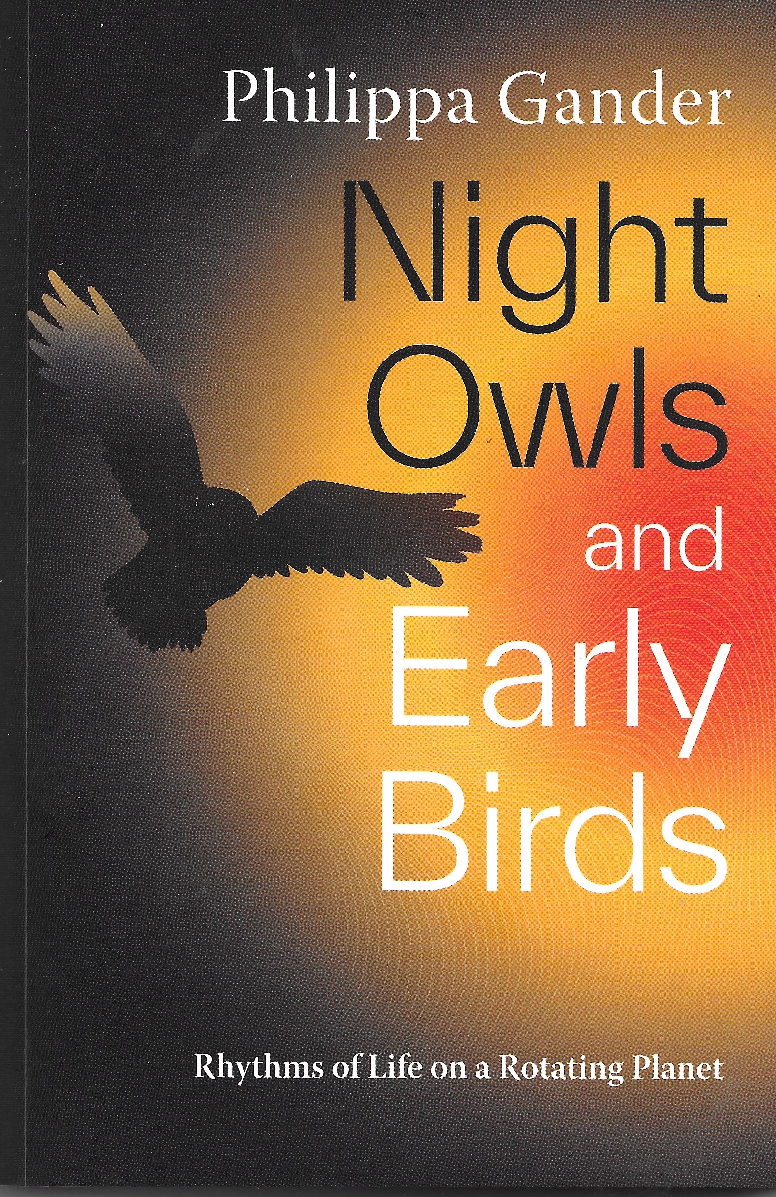 Night Owls.jpeg