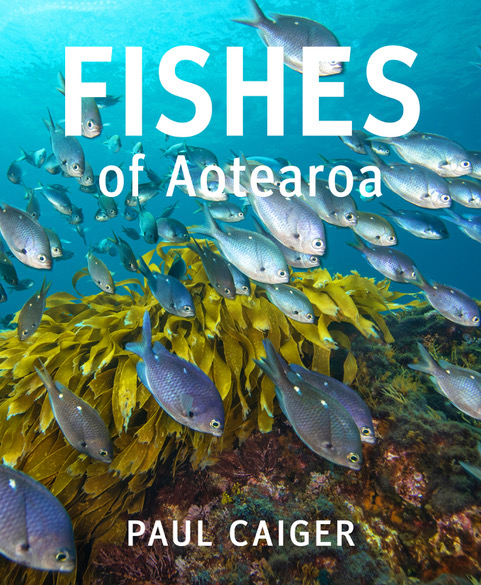 Fishes of Aotearoa Cover 300 dpi.jpeg