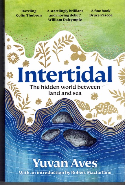 intertidal.jpeg