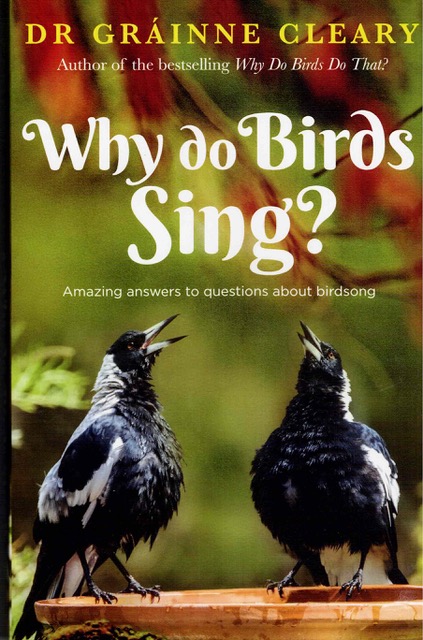 Birds Sing Cover.jpeg