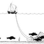 CORANZ, Council of Outdoor Recreation Associations of NZ