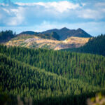 CORANZ, Council of Outdoor Recreation Associations of NZ