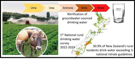 CORANZ, Council of Outdoor Recreation Associations of NZ