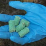 CORANZ, Council of Outdoor Recreation Associations of NZ