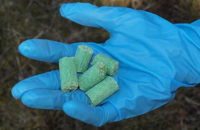 CORANZ, Council of Outdoor Recreation Associations of NZ