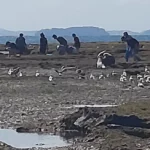 CORANZ, Council of Outdoor Recreation Associations of NZ