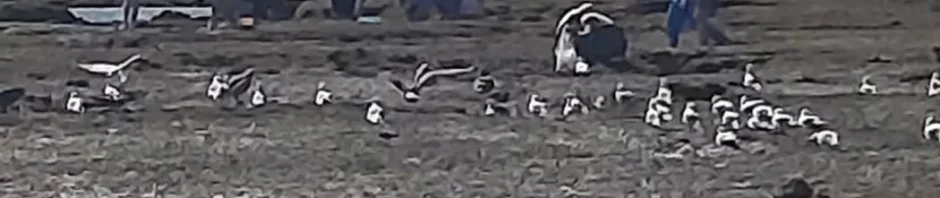 CORANZ, Council of Outdoor Recreation Associations of NZ