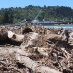 CORANZ, Council of Outdoor Recreation Associations of NZ