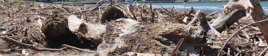 CORANZ, Council of Outdoor Recreation Associations of NZ