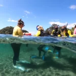 CORANZ, Council of Outdoor Recreation Associations of NZ