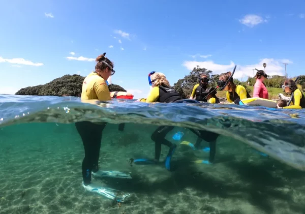 CORANZ, Council of Outdoor Recreation Associations of NZ