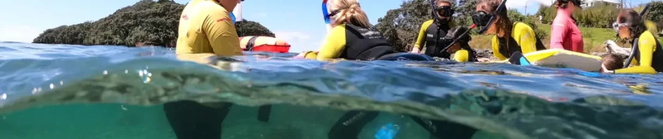 CORANZ, Council of Outdoor Recreation Associations of NZ