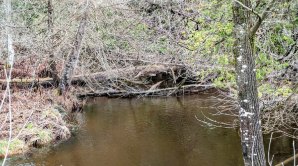 CORANZ, Council of Outdoor Recreation Associations of NZ