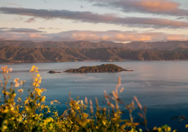 CORANZ, Council of Outdoor Recreation Associations of NZ