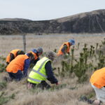 CORANZ, Council of Outdoor Recreation Associations of NZ