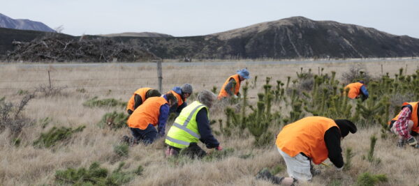 CORANZ, Council of Outdoor Recreation Associations of NZ
