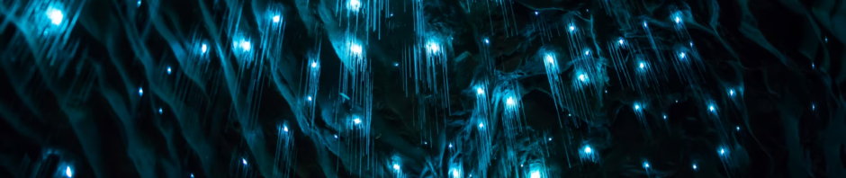 CORANZ, Council of Outdoor Recreation Associations of NZ