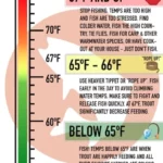 CORANZ, Council of Outdoor Recreation Associations of NZ