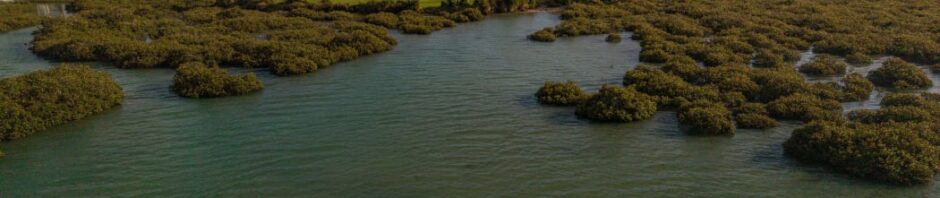 CORANZ, Council of Outdoor Recreation Associations of NZ