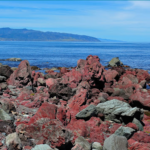 CORANZ, Council of Outdoor Recreation Associations of NZ