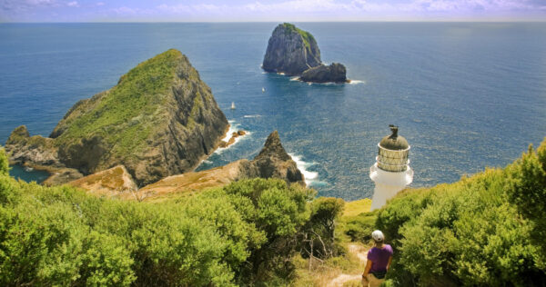 CORANZ, Council of Outdoor Recreation Associations of NZ