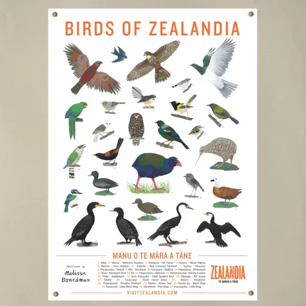 CORANZ, Council of Outdoor Recreation Associations of NZ