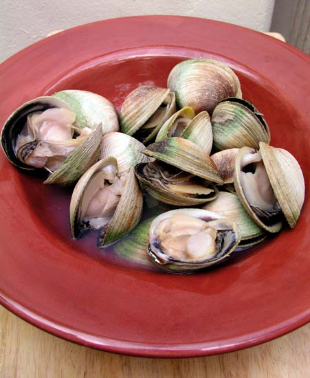 CORANZ, Council of Outdoor Recreation Associations of NZ