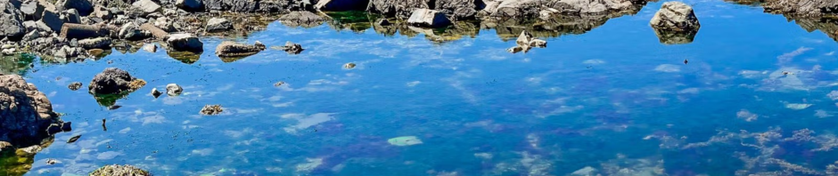 CORANZ, Council of Outdoor Recreation Associations of NZ