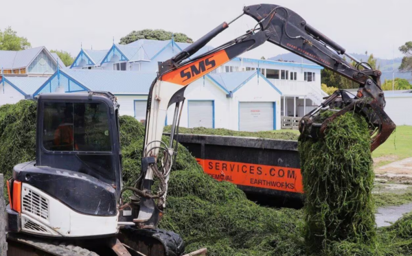 CORANZ, Council of Outdoor Recreation Associations of NZ