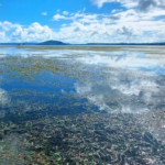 CORANZ, Council of Outdoor Recreation Associations of NZ