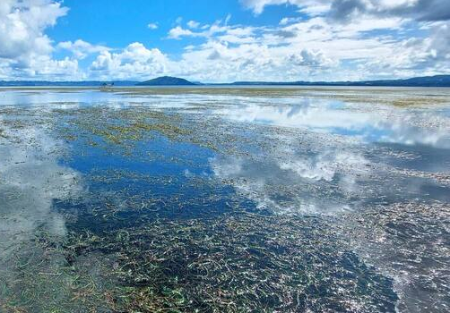 CORANZ, Council of Outdoor Recreation Associations of NZ