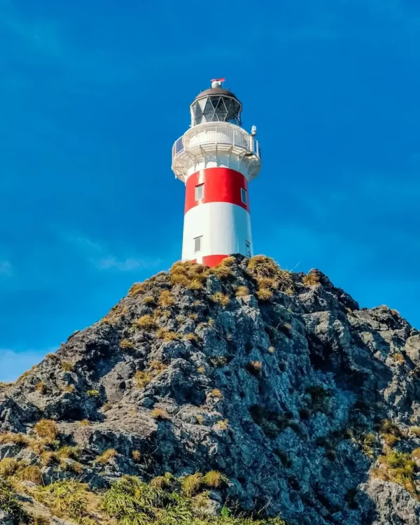 CORANZ, Council of Outdoor Recreation Associations of NZ