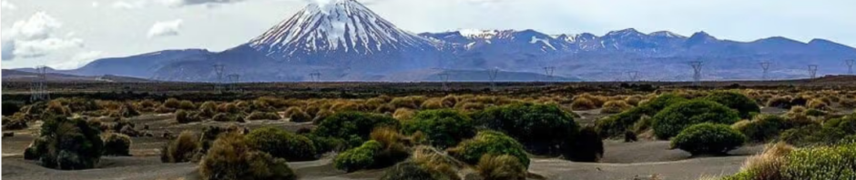 CORANZ, Council of Outdoor Recreation Associations of NZ