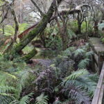 CORANZ, Council of Outdoor Recreation Associations of NZ