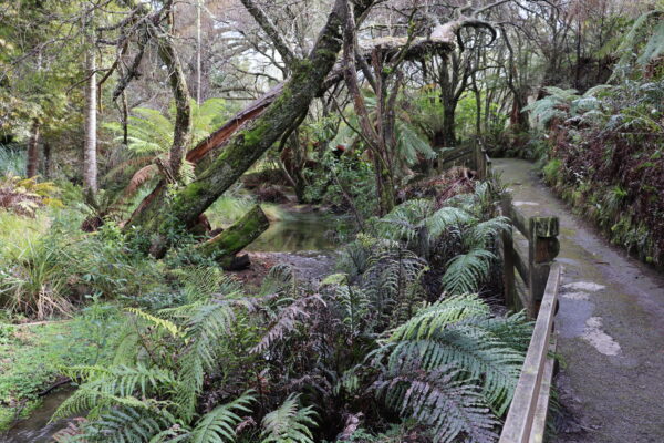 CORANZ, Council of Outdoor Recreation Associations of NZ