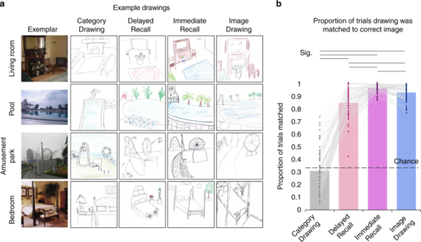 CORANZ, Council of Outdoor Recreation Associations of NZ