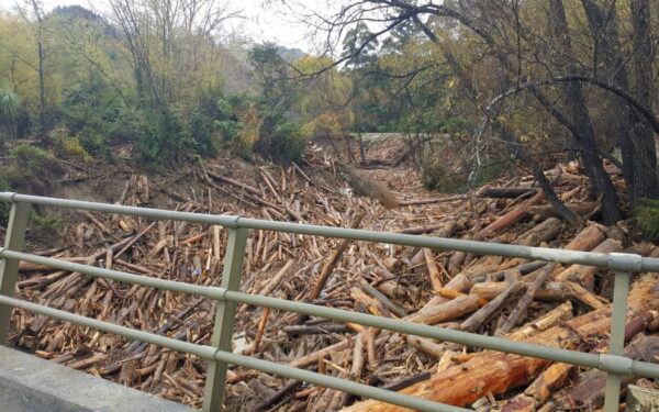 CORANZ, Council of Outdoor Recreation Associations of NZ