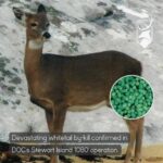 CORANZ, Council of Outdoor Recreation Associations of NZ