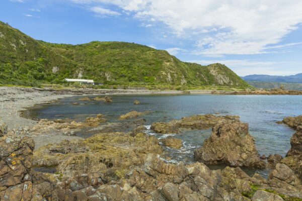 CORANZ, Council of Outdoor Recreation Associations of NZ