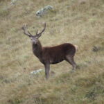 CORANZ, Council of Outdoor Recreation Associations of NZ