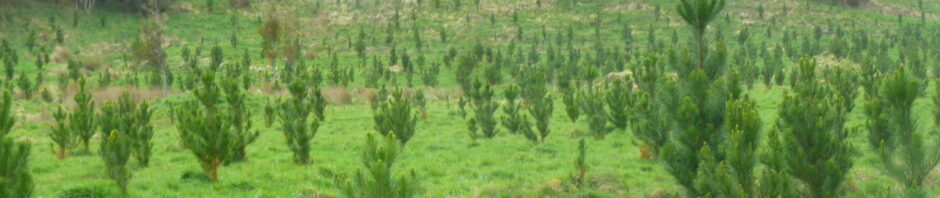 CORANZ, Council of Outdoor Recreation Associations of NZ