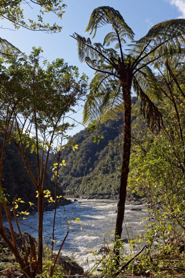 CORANZ, Council of Outdoor Recreation Associations of NZ