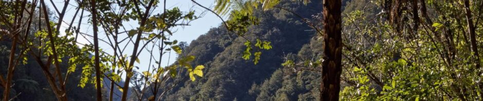 CORANZ, Council of Outdoor Recreation Associations of NZ