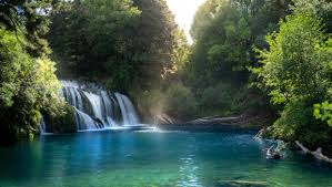 CORANZ, Council of Outdoor Recreation Associations of NZ