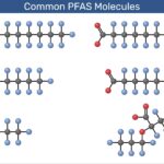 CORANZ, Council of Outdoor Recreation Associations of NZ