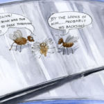 CORANZ, Council of Outdoor Recreation Associations of NZ