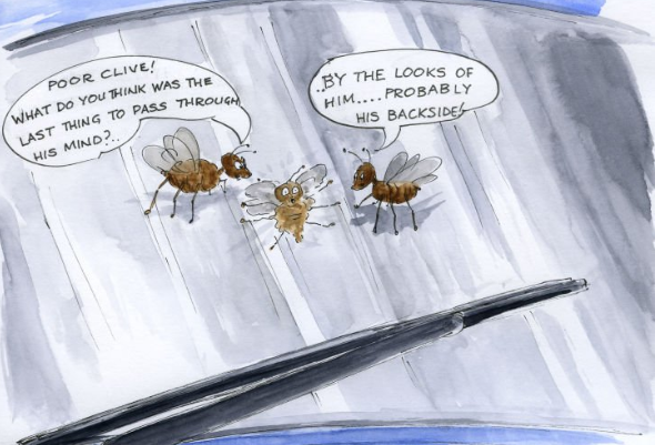 CORANZ, Council of Outdoor Recreation Associations of NZ